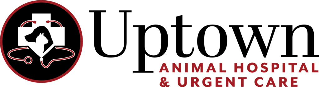 Uptown Animal Hospital & Urgent Care